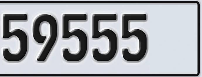 UAE License Plate Abu Dhabi 22 59555