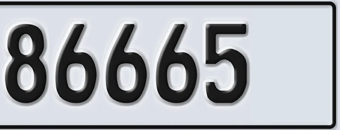 UAE License Plate Abu Dhabi 22 86665