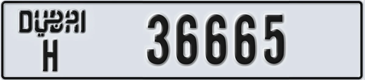 UAE License Plate Dubai H 36665