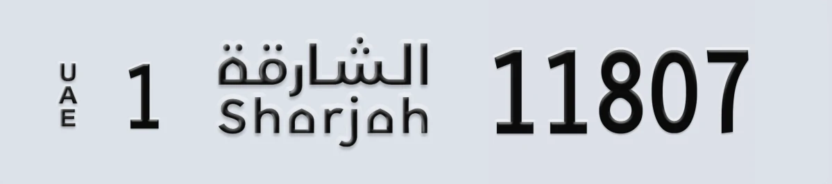 لوحة مميزة في الإمارات الشارقة 1 11807