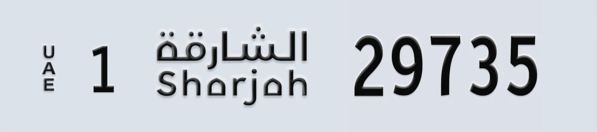 لوحة مميزة في الإمارات الشارقة 1 29735