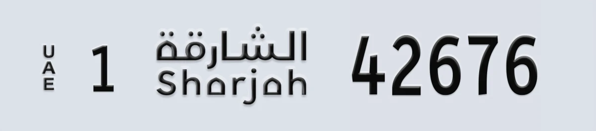 لوحة مميزة في الإمارات الشارقة 1 42676
