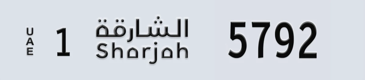 لوحة مميزة في الإمارات الشارقة 1 5792