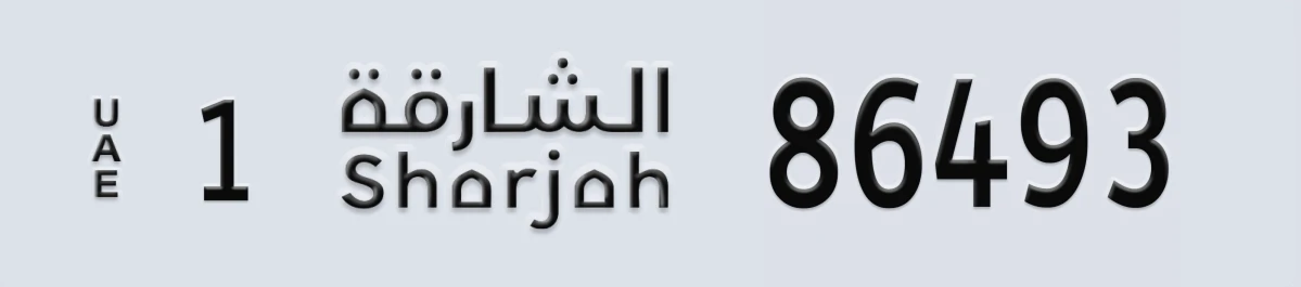 لوحة مميزة في الإمارات الشارقة 1 86493