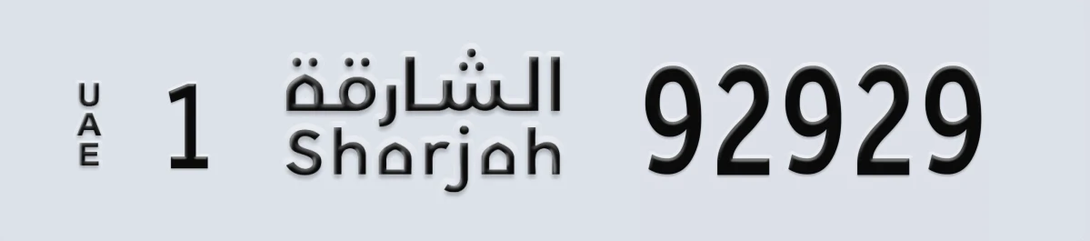 لوحة مميزة في الإمارات الشارقة 1 92929