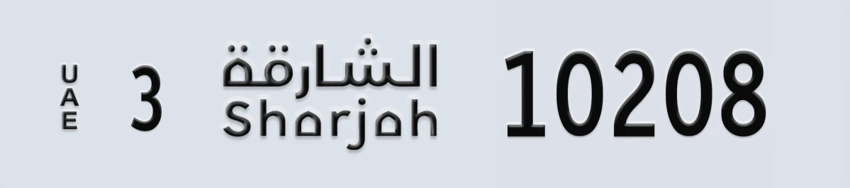 لوحة مميزة في الإمارات الشارقة 3 10208