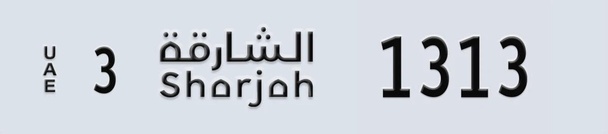 UAE License Plate Sharjah 3 1313