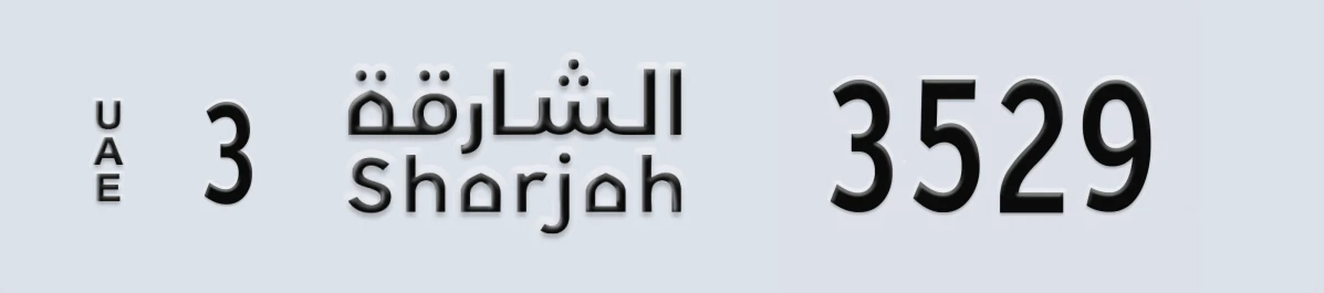 لوحة مميزة في الإمارات الشارقة 3 3529