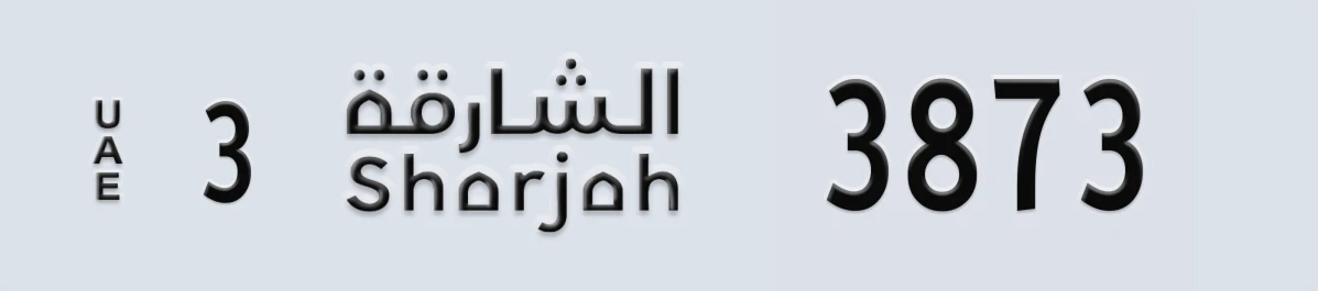 UAE License Plate Sharjah 3 3873