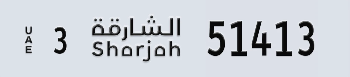 لوحة مميزة في الإمارات الشارقة 3 51413