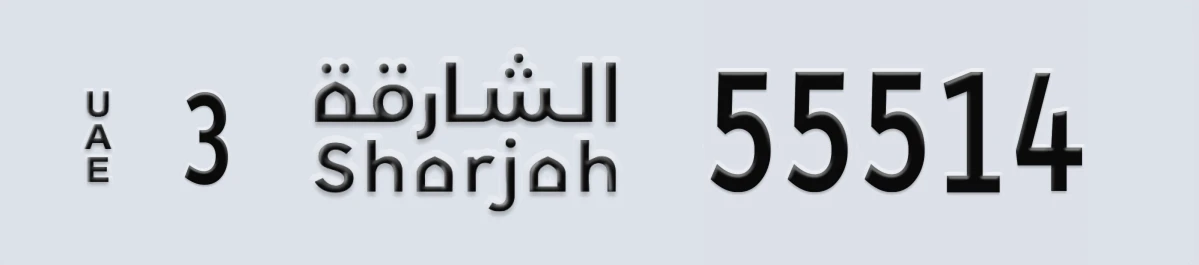 لوحة مميزة في الإمارات الشارقة 3 55514