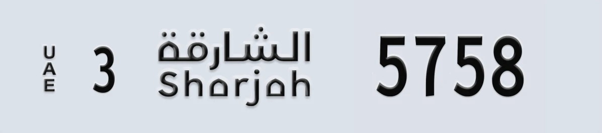 لوحة مميزة في الإمارات الشارقة 3 5758