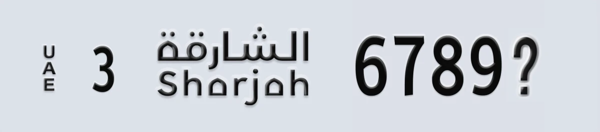 UAE License Plate Sharjah 3 6789Y