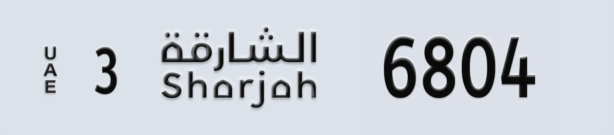 لوحة مميزة في الإمارات الشارقة 3 6804