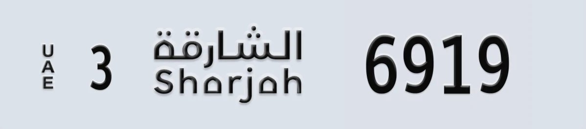 UAE License Plate Sharjah 3 6919