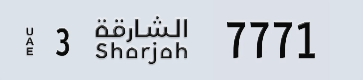 لوحة مميزة في الإمارات الشارقة 3 7771
