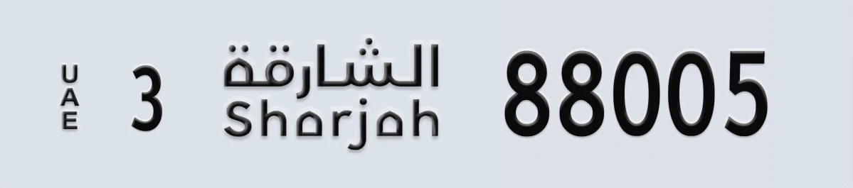 لوحة مميزة في الإمارات الشارقة 3 88005