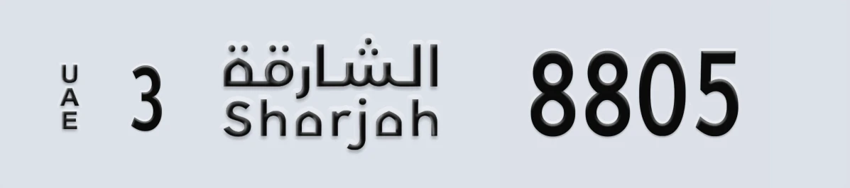 لوحة مميزة في الإمارات الشارقة 3 8805