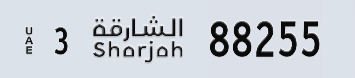 لوحة مميزة في الإمارات الشارقة 3 88255