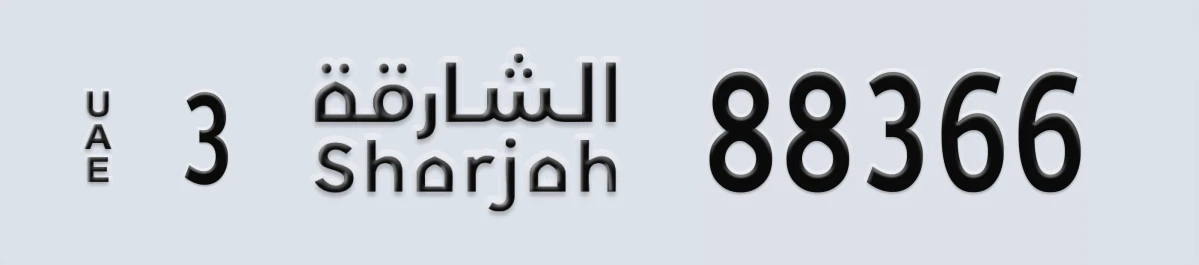 لوحة مميزة في الإمارات الشارقة 3 88366