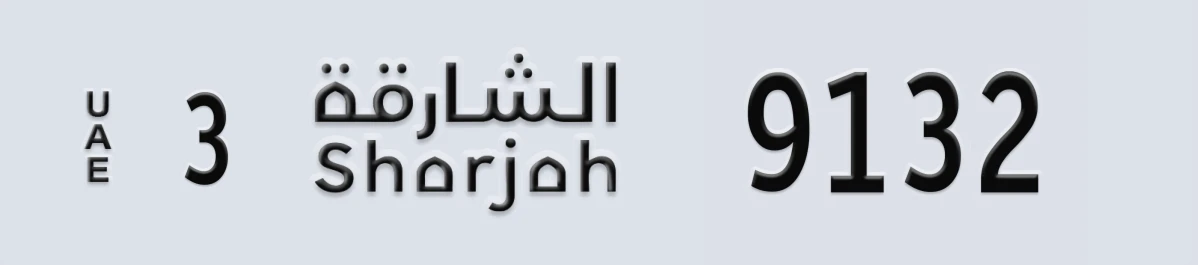 UAE License Plate Sharjah 3 9132