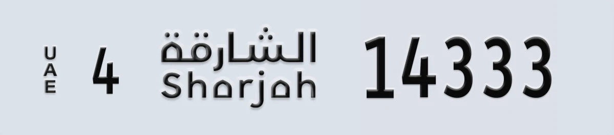 لوحة مميزة في الإمارات الشارقة 4 14333