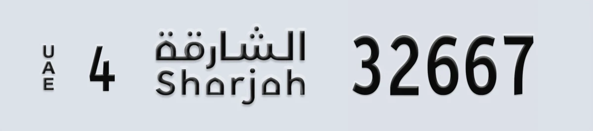 لوحة مميزة في الإمارات الشارقة 4 32667