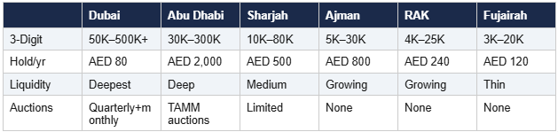 t4-dubai-vs-other-emirates-license-plates