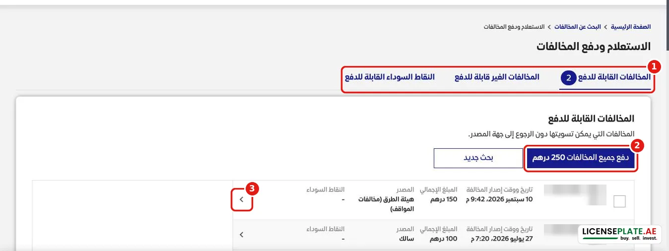 قائمة المخالفات القابلة للدفع في هيئة الطرق مع مخالفة مواقف ومخالفة سالك