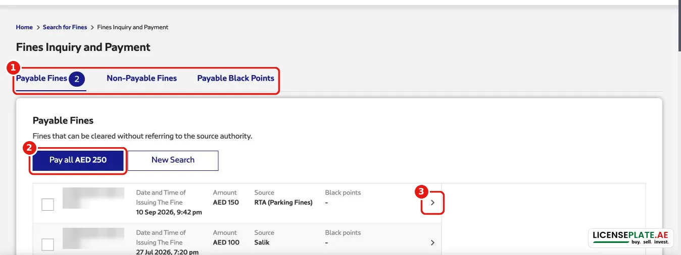 RTA payable fines list with parking fine and Salik fine and Pay all button