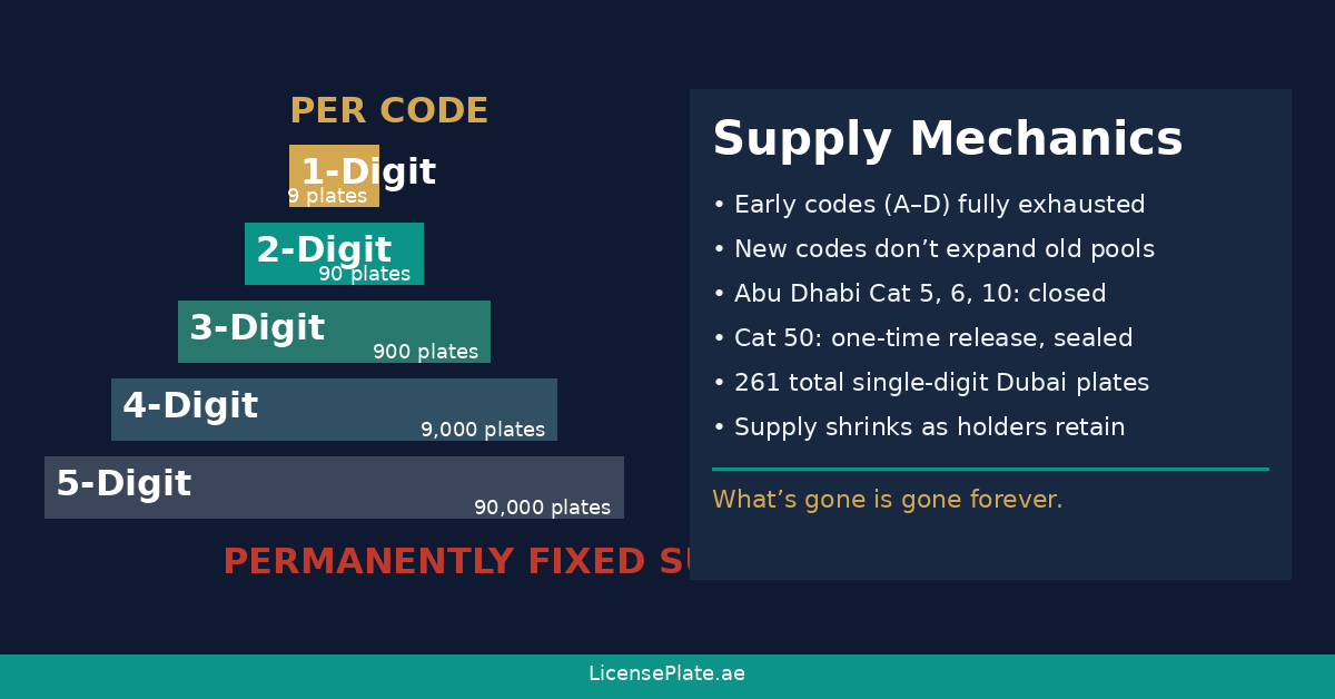 uae-plate-supply-mechanics-scarcity