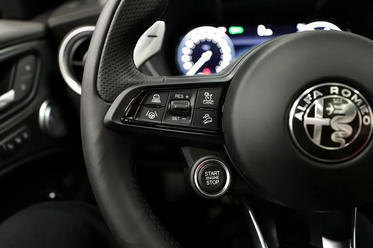 Alfa Romeo Stelvio 2.0 AT 4WD (280 hp) - 12