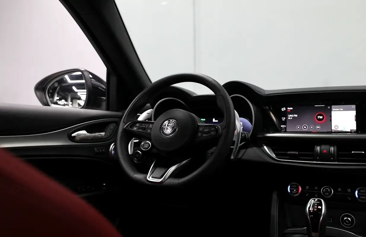 Alfa Romeo Stelvio 2.0 AT 4WD (280 hp) - 15