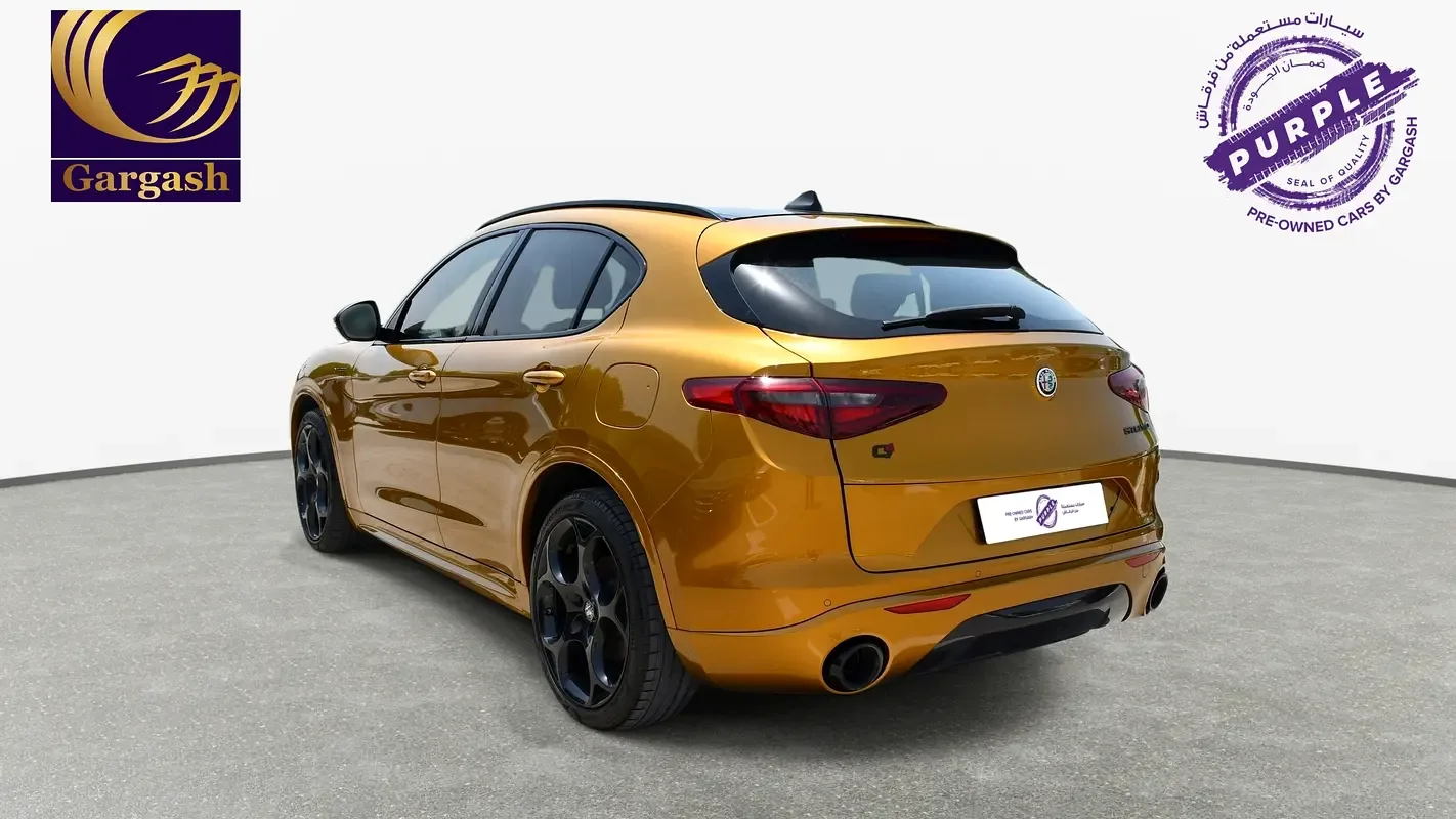 Alfa Romeo Stelvio 2.0 AT 4WD (280 hp) - 6