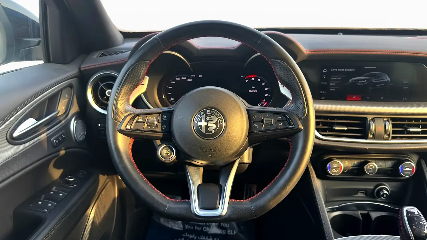 Alfa Romeo Stelvio 2.0 AT 4WD (280 حصان) - 12