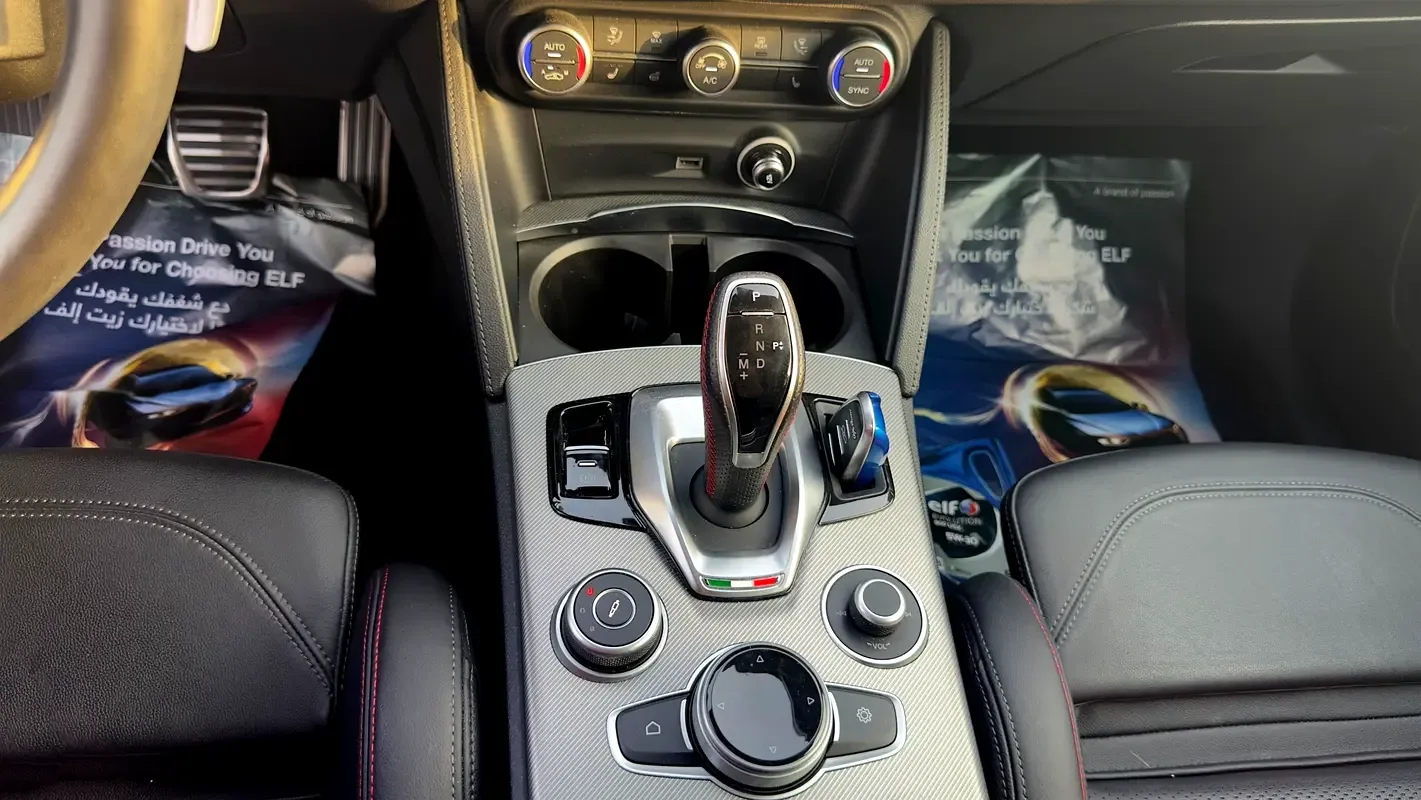 Alfa Romeo Stelvio 2.0 AT 4WD (280 حصان) - 17