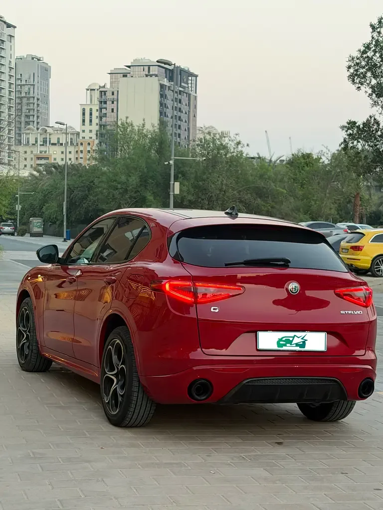 Alfa Romeo Stelvio 2.0 AT AWD (200 حصان) - 7