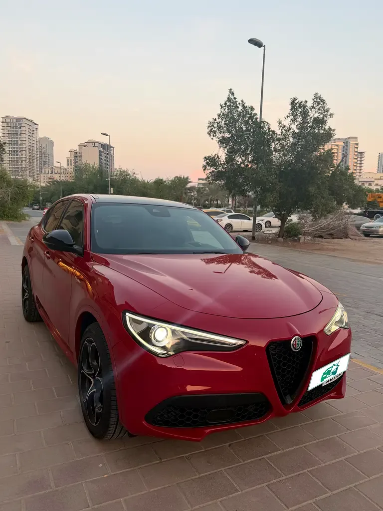 Alfa Romeo Stelvio 2.0 AT AWD (200 حصان) - 6