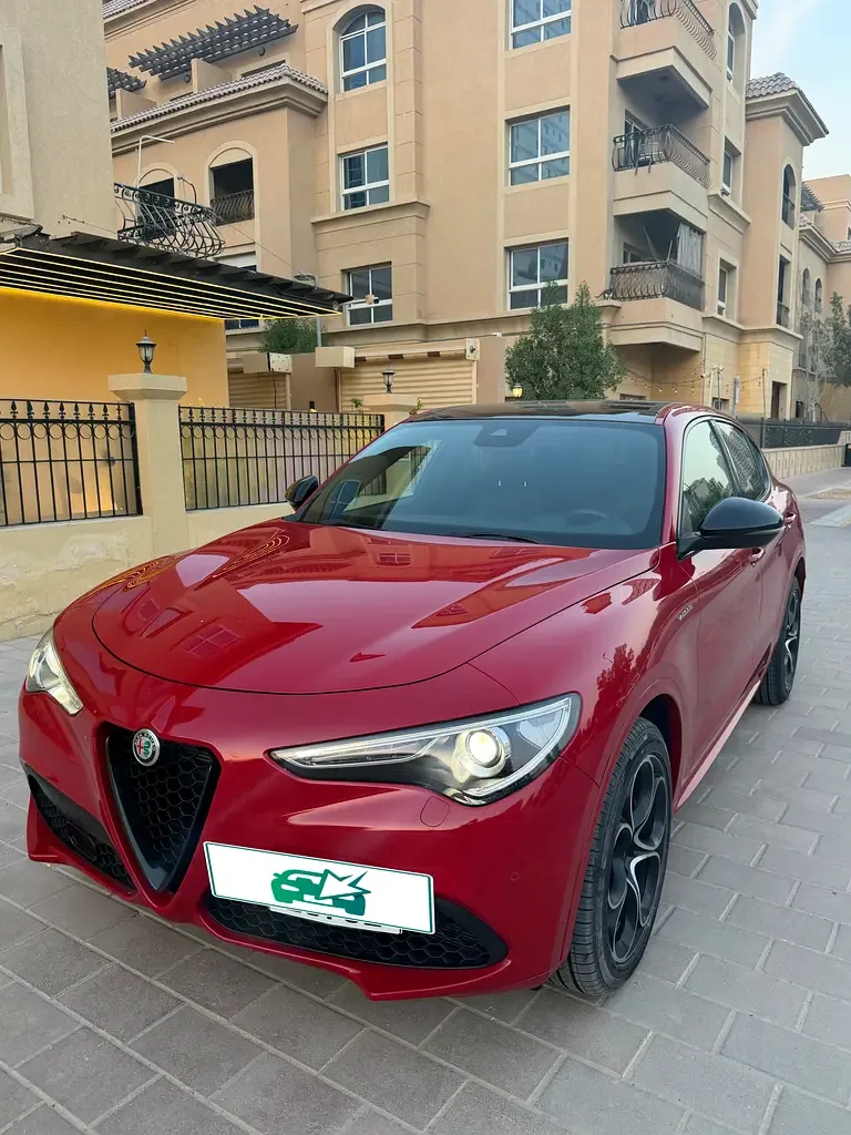 Alfa Romeo Stelvio 2.0 AT AWD (200 حصان) - 9