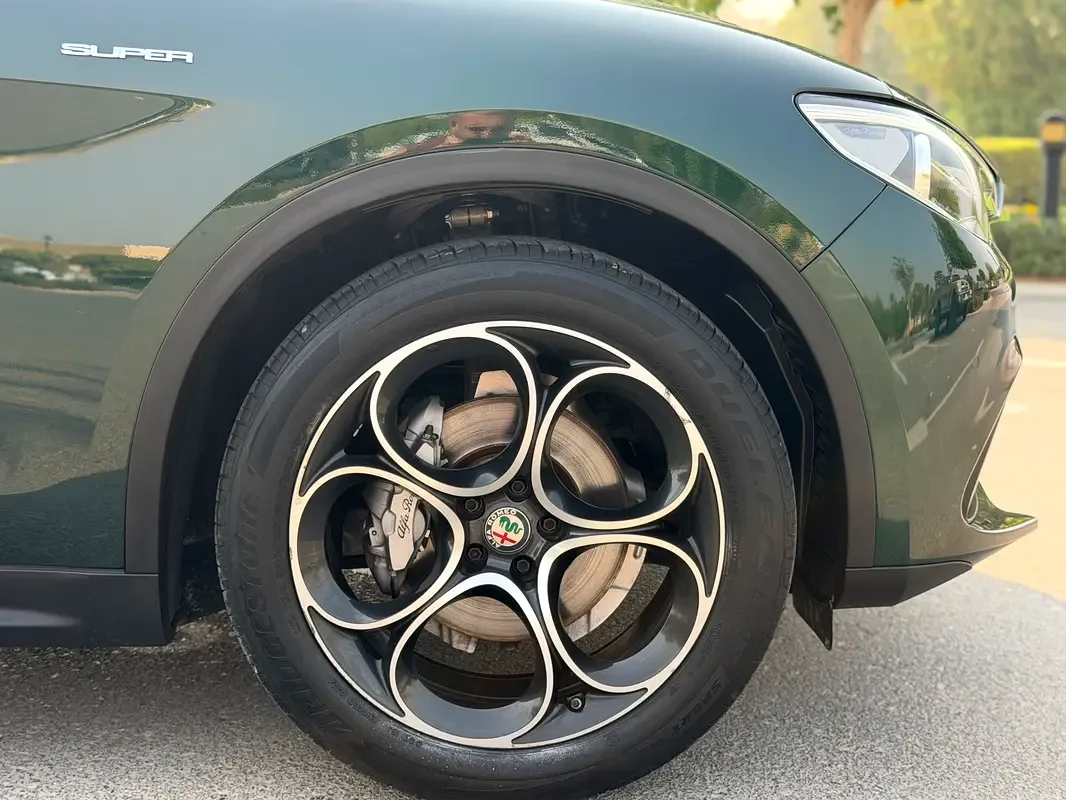 Alfa Romeo Stelvio 2.0 AT AWD (280 حصان) - 4