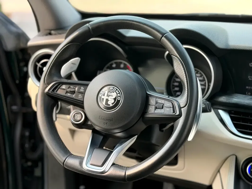 Alfa Romeo Stelvio 2.0 AT AWD (280 حصان) - 6