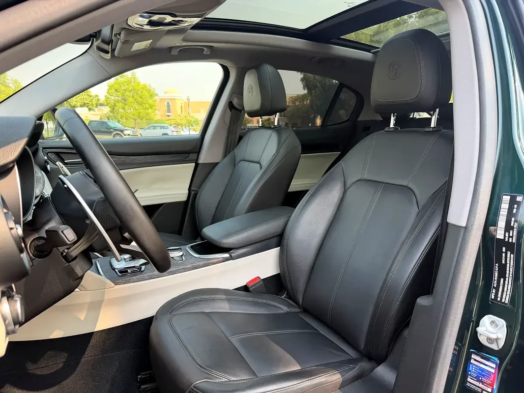 Alfa Romeo Stelvio 2.0 AT AWD (280 حصان) - 8