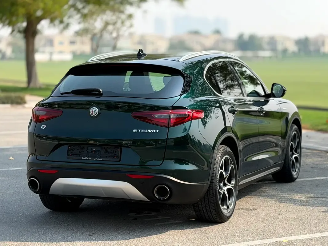 Alfa Romeo Stelvio 2.0 AT AWD (280 حصان) - 15