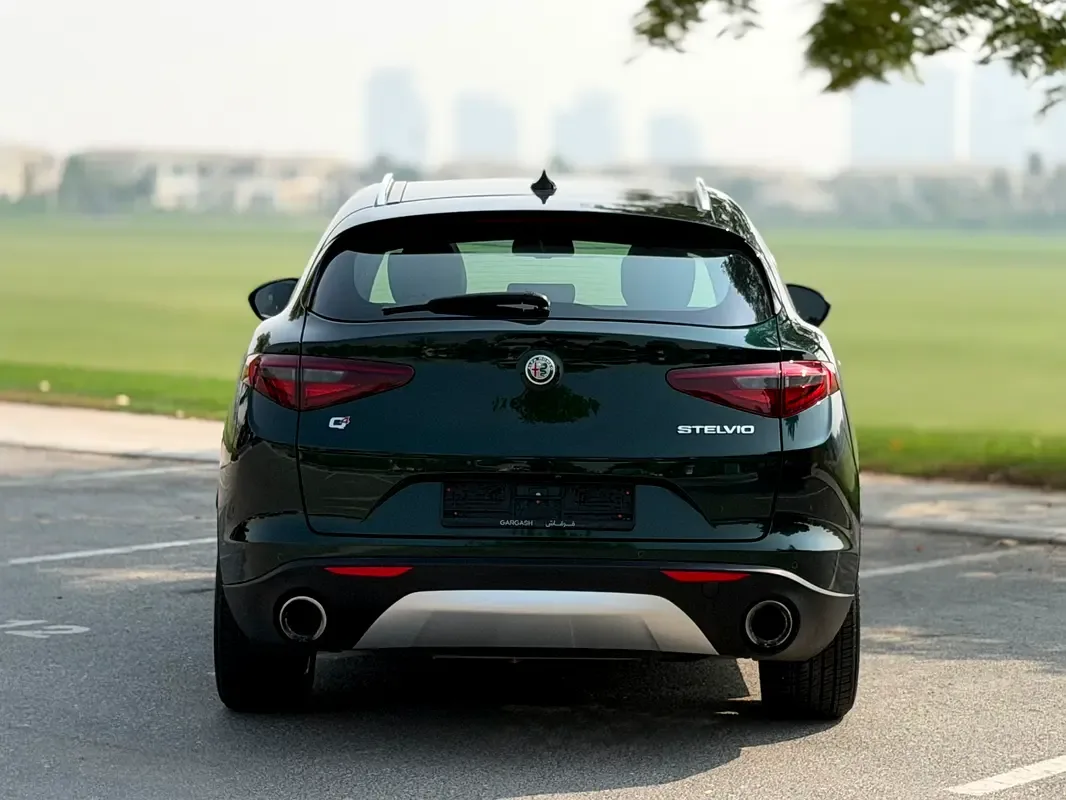 Alfa Romeo Stelvio 2.0 AT AWD (280 حصان) - 14