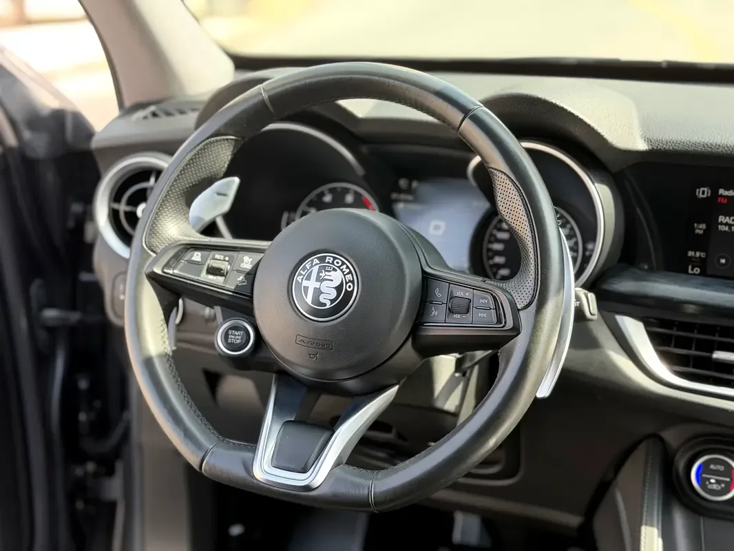 Alfa Romeo Stelvio 2.0 AT AWD (280 hp) - 6