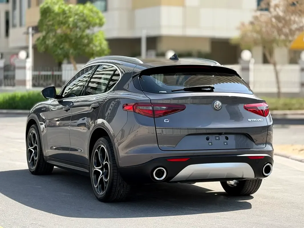Alfa Romeo Stelvio 2.0 AT AWD (280 hp) - 14
