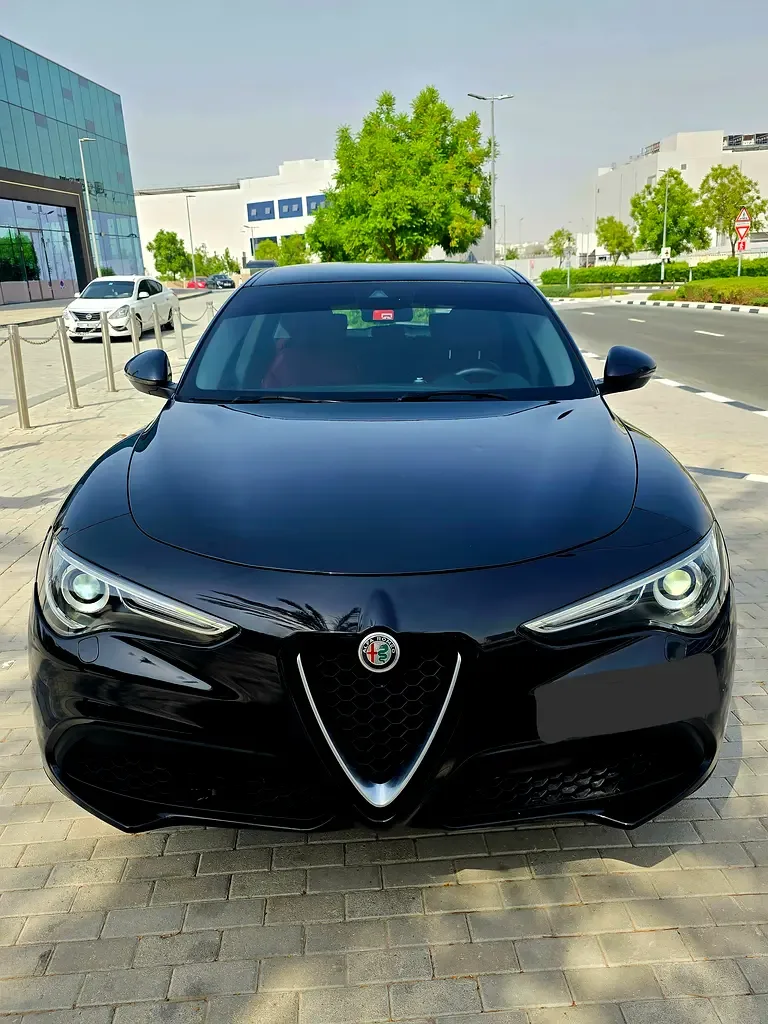 Alfa Romeo Stelvio 2.0 AT AWD (280 hp) - 3