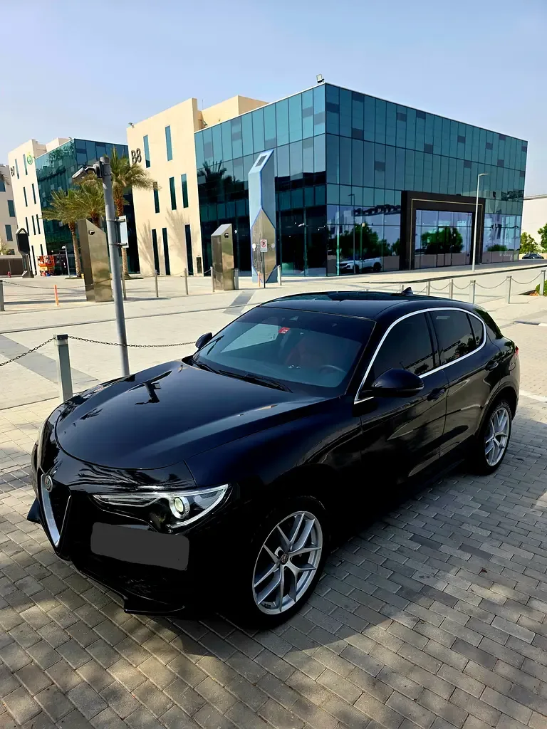 Alfa Romeo Stelvio 2.0 AT AWD (280 hp) - 2