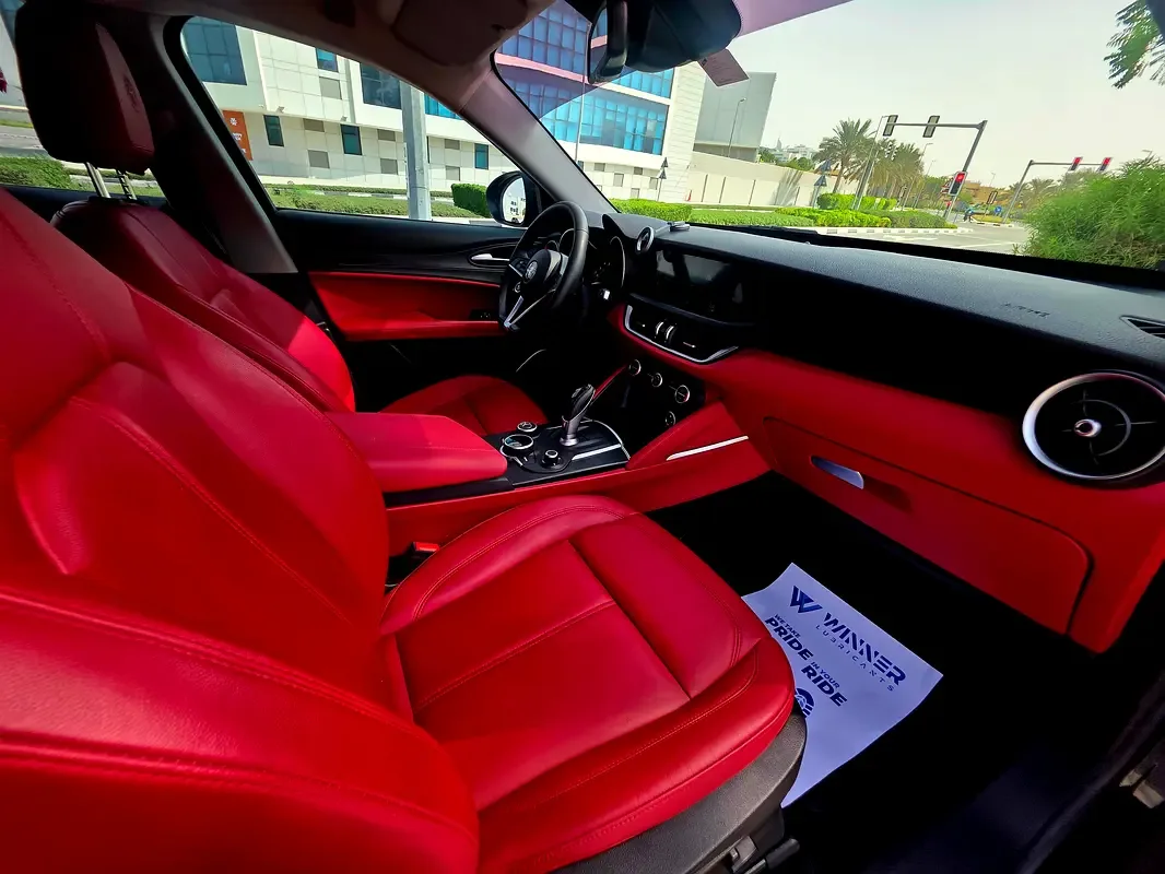 Alfa Romeo Stelvio 2.0 AT AWD (280 hp) - 6