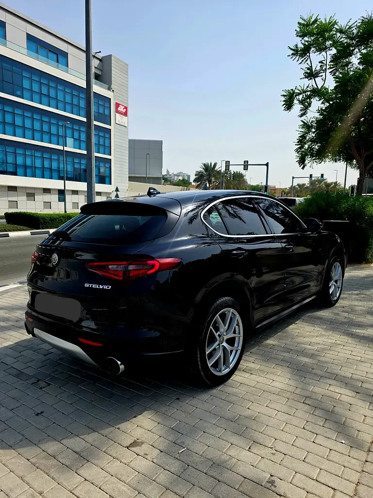 Alfa Romeo Stelvio 2.0 AT AWD (280 hp) - 10